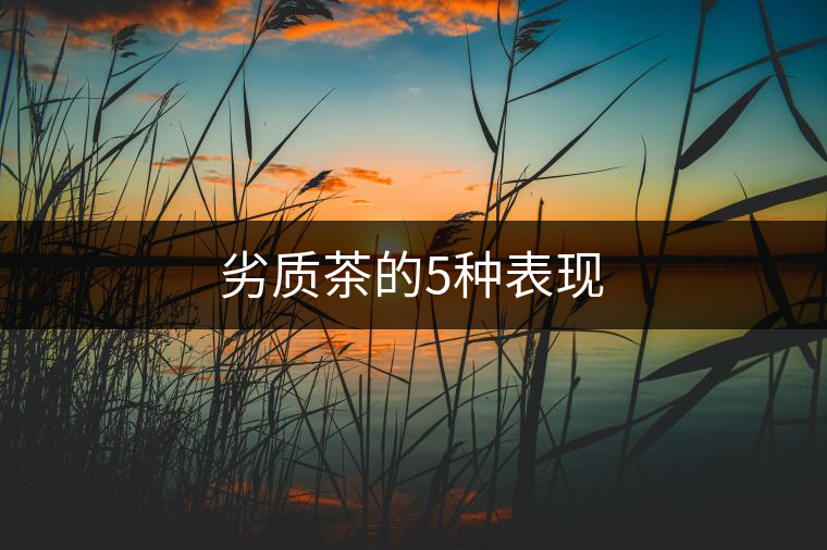 劣質茶的5種表現