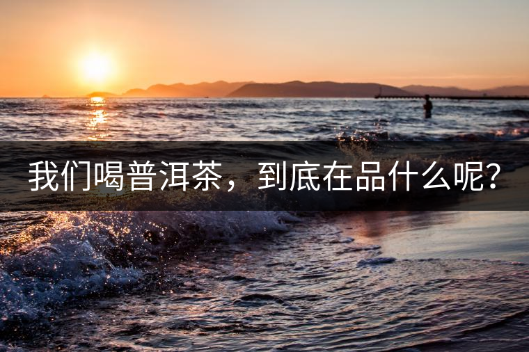 我們喝普洱茶，到底在品什么呢？