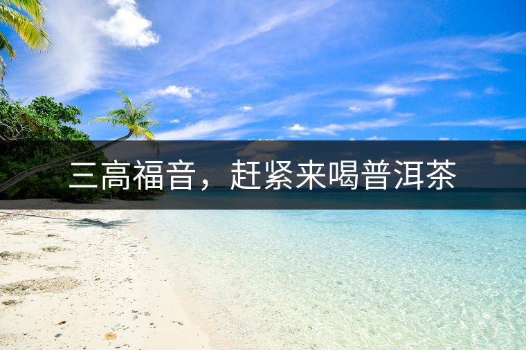 三高福音，趕緊來喝普洱茶