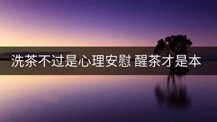 洗茶不過是心理安慰 醒茶才是本質之道 洗茶不過是心理安慰 醒茶才是本質之道