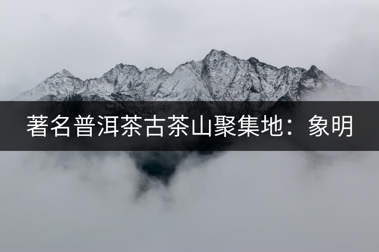 著名普洱茶古茶山聚集地:象明 著名普洱茶古茶山聚集地:象明