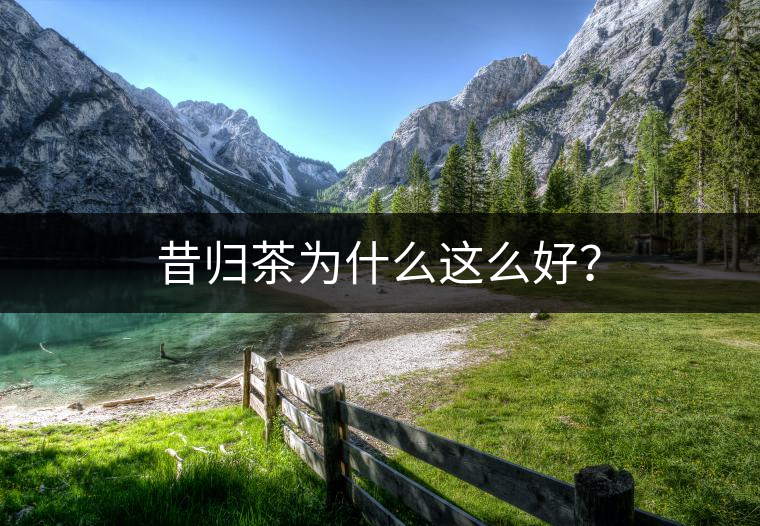 昔歸茶為什么這么好? 昔歸茶為什么這么好?