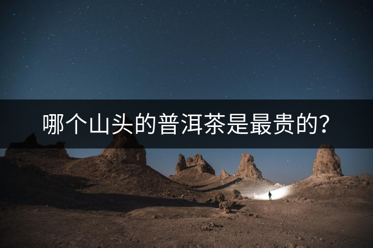 哪個山頭的普洱茶是最貴的？