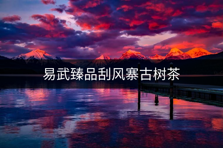 易武臻品刮風寨古樹茶