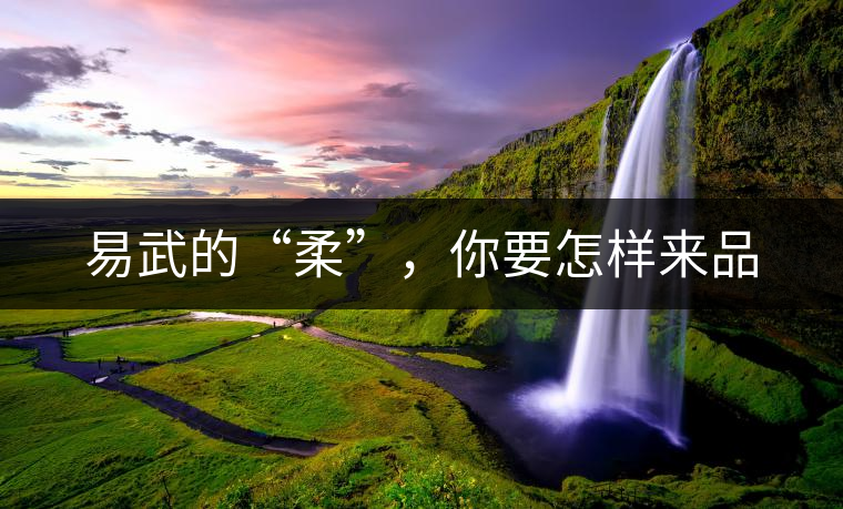 易武的“柔”，你要怎樣來(lái)品