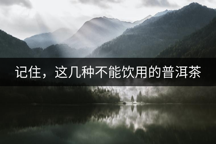 記住，這幾種不能飲用的普洱茶