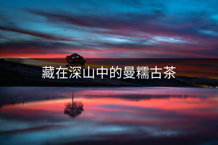 藏在深山中的曼糯古茶 藏在深山中的曼糯古茶