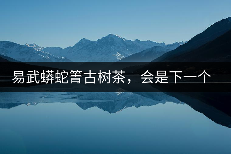 易武蟒蛇箐古樹茶,會是下一個銅箐河嗎? 易武蟒蛇箐古樹茶,會是下一個銅箐河嗎?