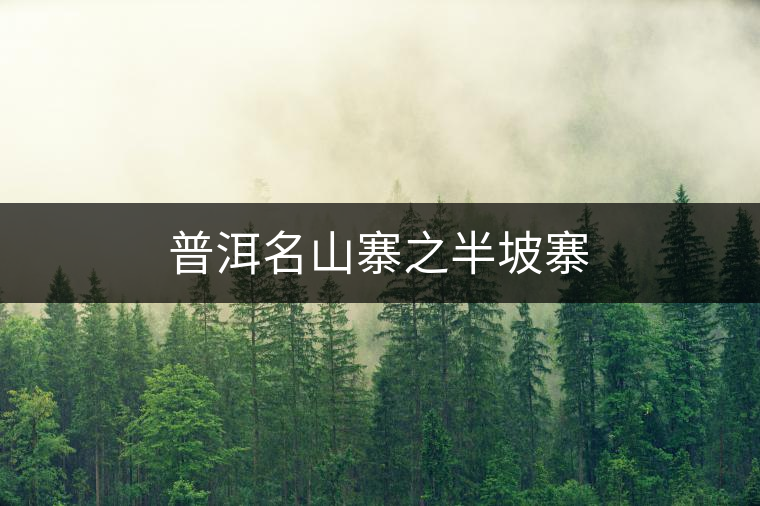 普洱名山寨之半坡寨 普洱名山寨之半坡寨