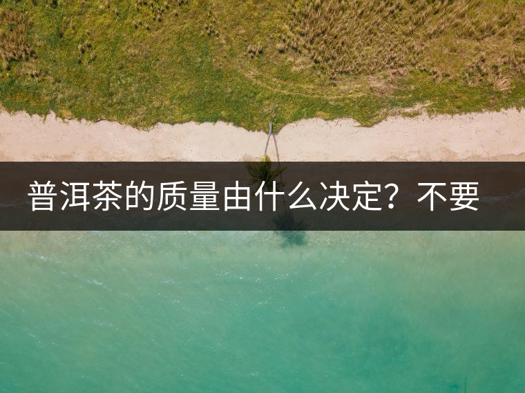 普洱茶的質量由什么決定?不要輕信等級 普洱茶的質量由什么決定?不要輕信等級