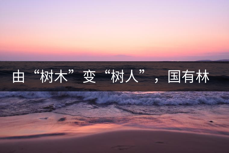 由“樹(shù)木”變“樹(shù)人”,國(guó)有林普洱茶為什么越來(lái)越受歡迎? 由“樹(shù)木”變“樹(shù)人”,國(guó)有林普洱茶為什么越來(lái)越受歡迎?