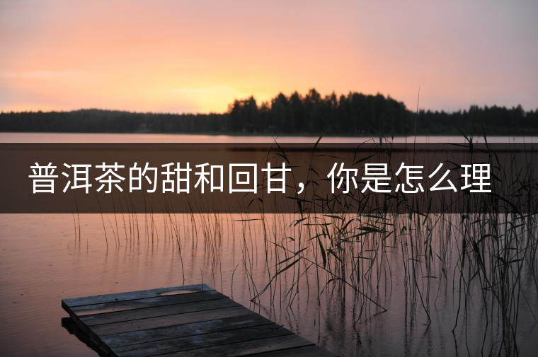 普洱茶的甜和回甘,你是怎么理解的? 普洱茶的甜和回甘,你是怎么理解的?