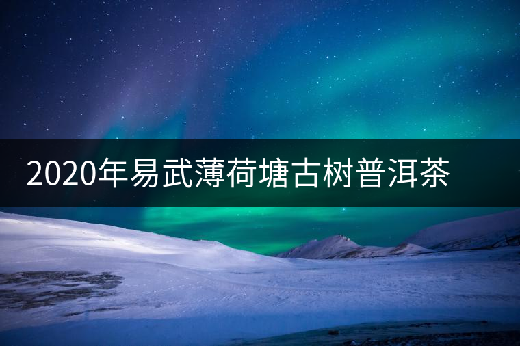 2020年易武薄荷塘古樹普洱茶特點,價格又上漲了嗎? 2020年易武薄荷塘古樹普洱茶特點,價格又上漲了嗎?
