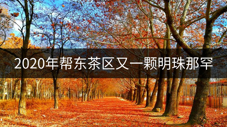 2020年幫東茶區又一顆明珠那罕