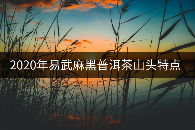 2020年易武麻黑普洱茶山頭特點介紹 2020年易武麻黑普洱茶山頭特點介紹