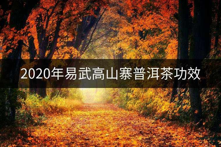 2020年易武高山寨普洱茶功效 2020年易武高山寨普洱茶功效