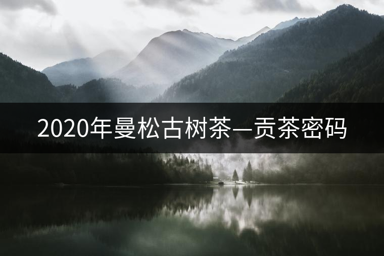 2020年曼松古樹茶—貢茶密碼 2020年曼松古樹茶—貢茶密碼