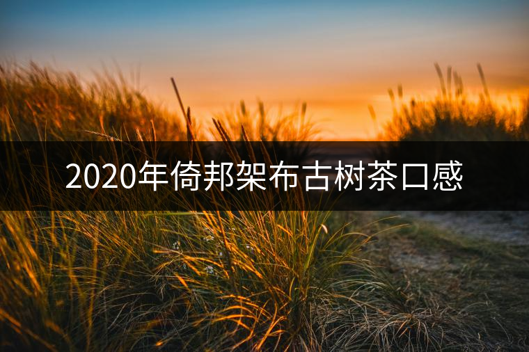 2020年倚邦架布古樹茶口感 2020年倚邦架布古樹茶口感