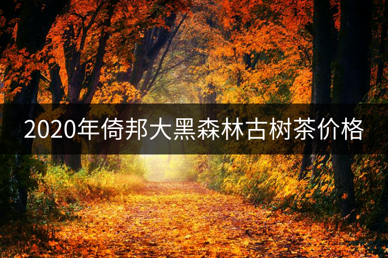 2020年倚邦大黑森林古樹(shù)茶價(jià)格 2020年倚邦大黑森林古樹(shù)茶價(jià)格