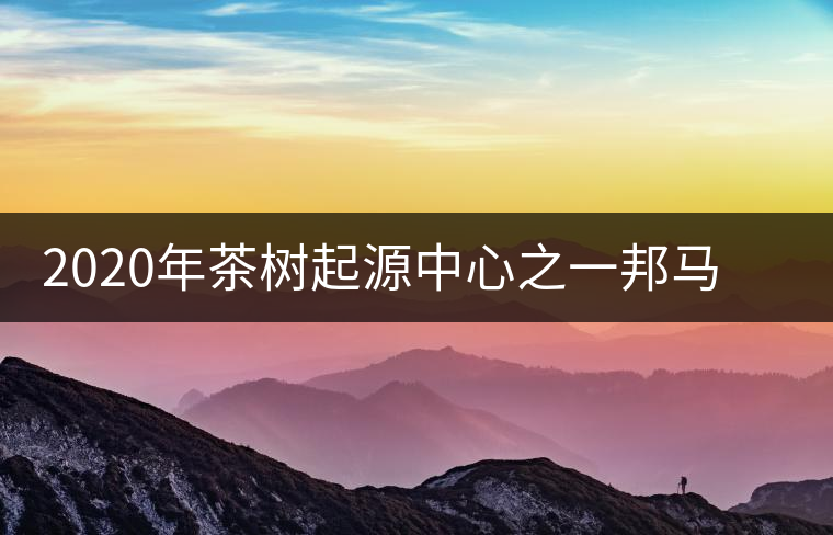 2020年茶樹起源中心之一邦馬大雪山上有哪些神秘的村寨? 2020年茶樹起源中心之一邦馬大雪山上有哪些神秘的村寨?