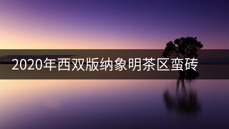 2020年西雙版納象明茶區蠻磚古茶山特點介紹