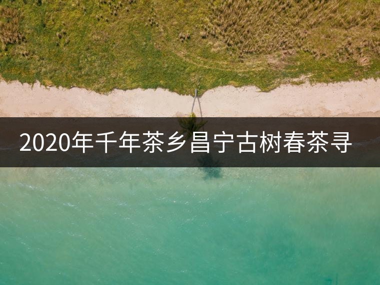 2020年千年茶鄉昌寧古樹春茶尋茶記 2020年千年茶鄉昌寧古樹春茶尋茶記