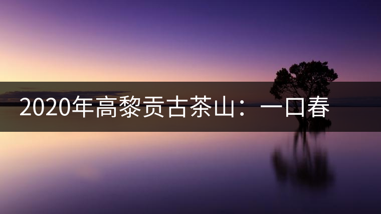 2020年高黎貢古茶山:一口春茶香,一口騰沖味 2020年高黎貢古茶山:一口春茶香,一口騰沖味