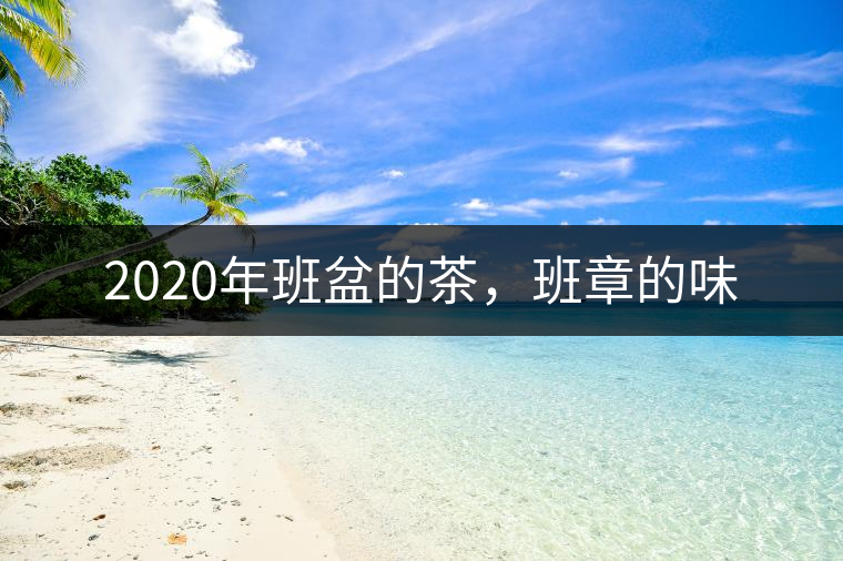 2020年班盆的茶,班章的味 2020年班盆的茶,班章的味