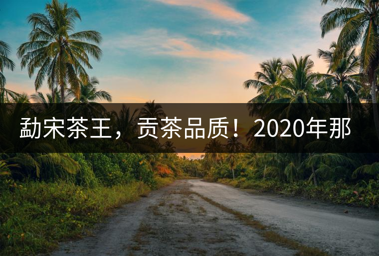 勐宋茶王，貢茶品質(zhì)！2020年那卡古樹(shù)青餅悠然而至！