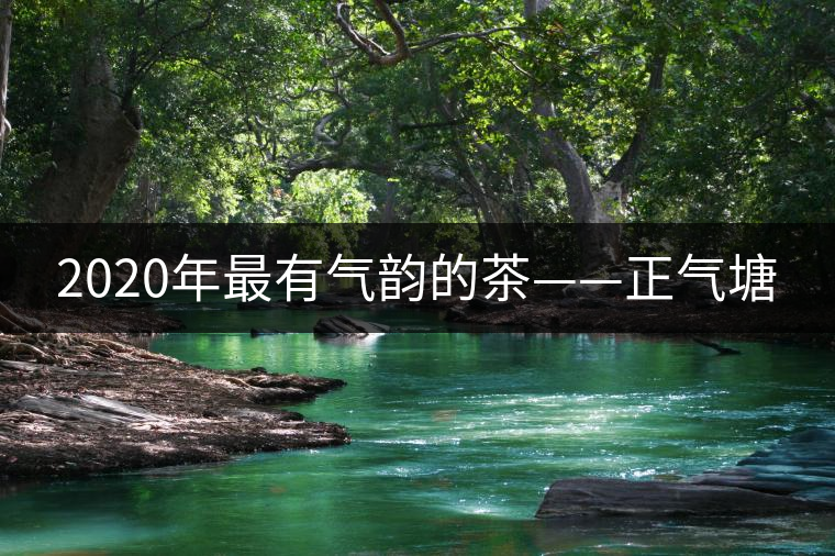2020年最有氣韻的茶——正氣塘 2020年最有氣韻的茶——正氣塘