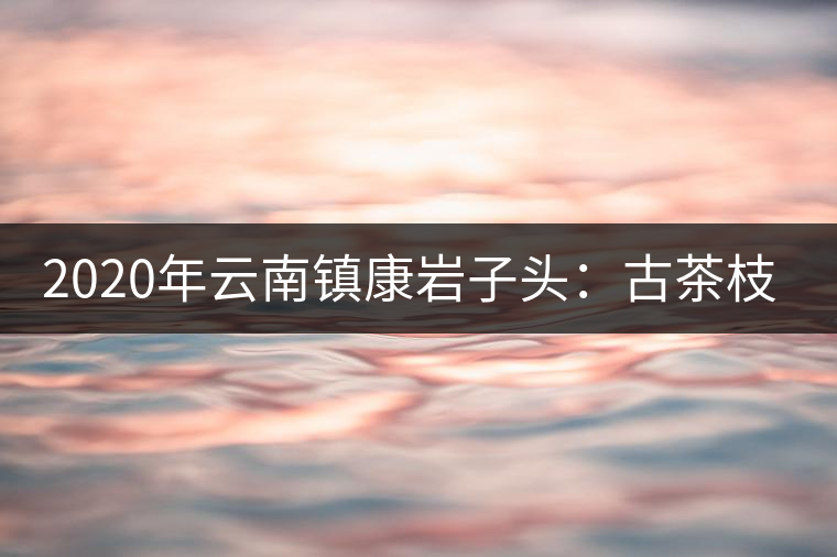 2020年云南鎮康巖子頭:古茶枝頭采“黃金” 2020年云南鎮康巖子頭:古茶枝頭采“黃金”
