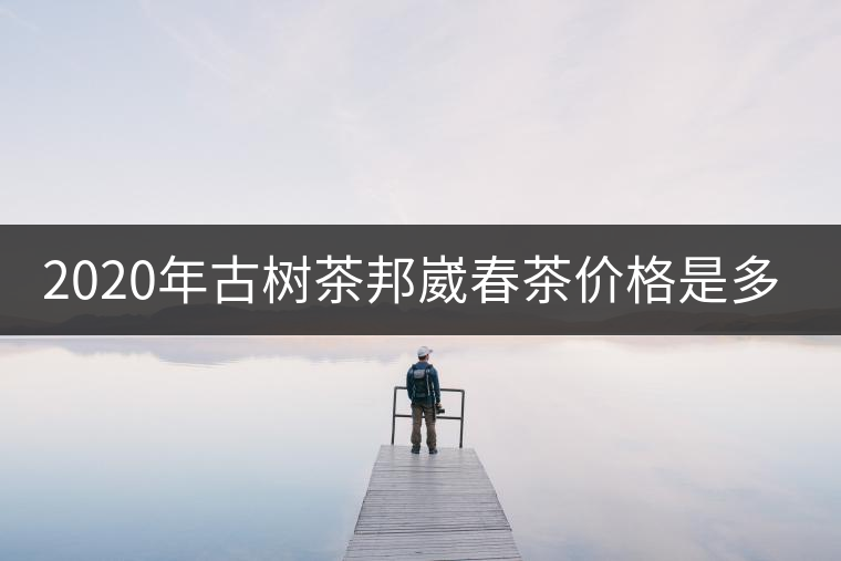 2020年古樹茶邦崴春茶價格是多少? 2020年古樹茶邦崴春茶價格是多少?