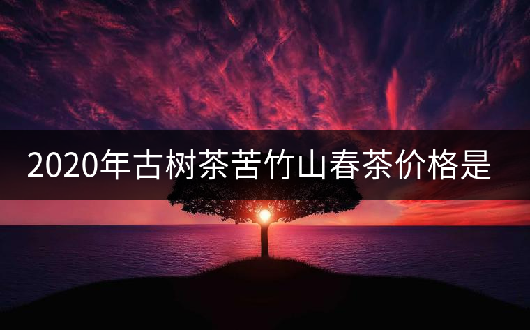2020年古樹茶苦竹山春茶價格是多少？
