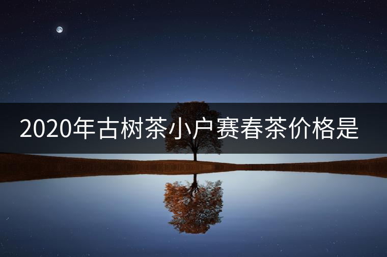 2020年古樹茶小戶賽春茶價格是多少? 2020年古樹茶小戶賽春茶價格是多少?