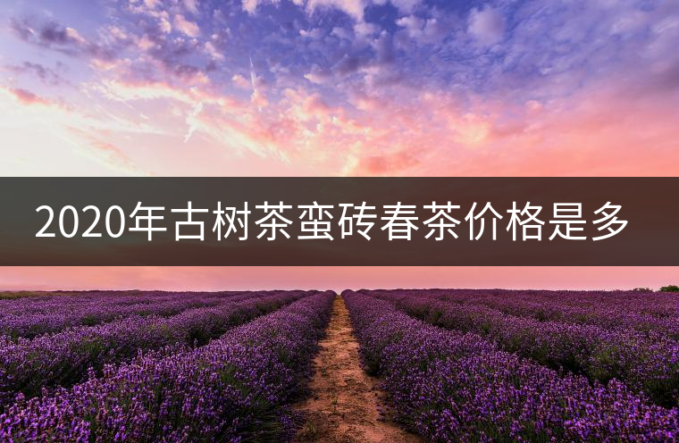 2020年古樹茶蠻磚春茶價格是多少? 2020年古樹茶蠻磚春茶價格是多少?