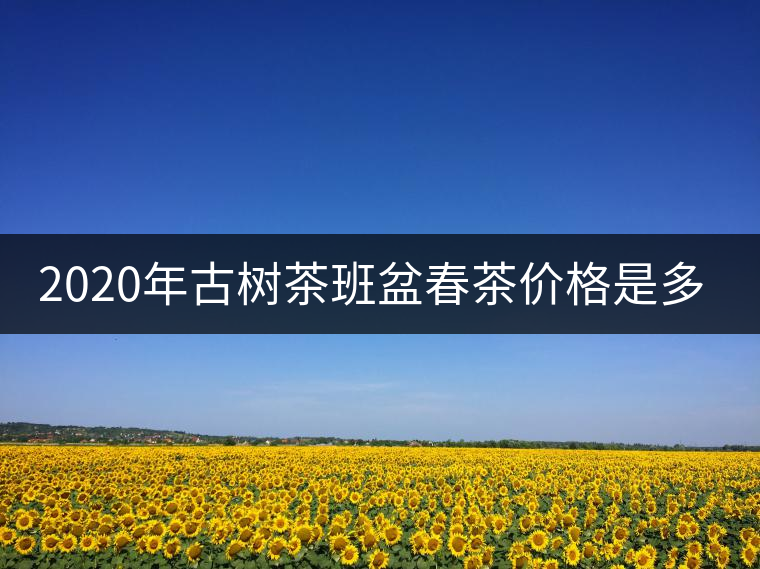 2020年古樹茶班盆春茶價格是多少? 2020年古樹茶班盆春茶價格是多少?