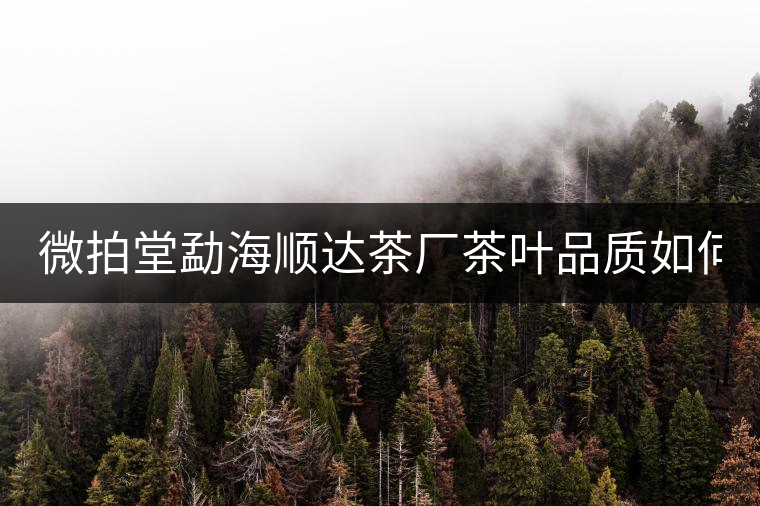 微拍堂勐海順達茶廠茶葉品質如何? 微拍堂勐海順達茶廠茶葉品質如何?