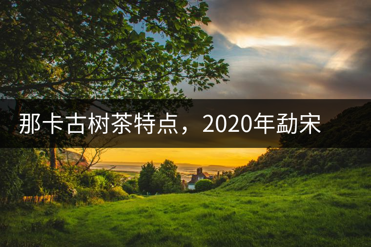 那卡古樹茶特點,2020年勐宋茶區(qū)保塘普洱茶口感 那卡古樹茶特點,2020年勐宋茶區(qū)保塘普洱茶口感