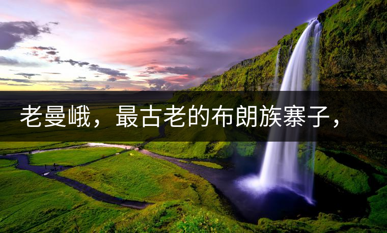 老曼峨,最古老的布朗族寨子,最極端的普洱茶 老曼峨,最古老的布朗族寨子,最極端的普洱茶