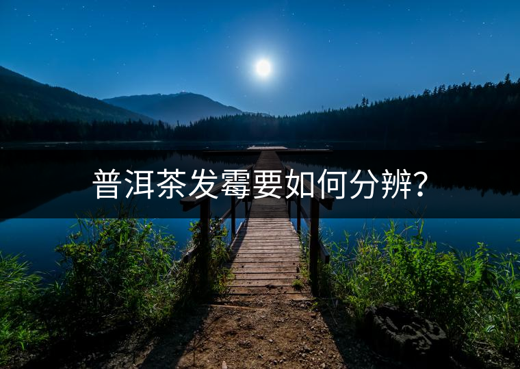 普洱茶發霉要如何分辨？