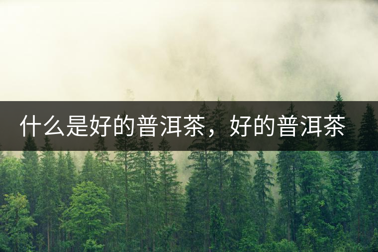 什么是好的普洱茶,好的普洱茶必須要有好的工藝! 什么是好的普洱茶,好的普洱茶必須要有好的工藝!
