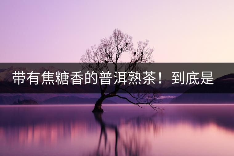 帶有焦糖香的普洱熟茶!到底是好是壞? 帶有焦糖香的普洱熟茶!到底是好是壞?