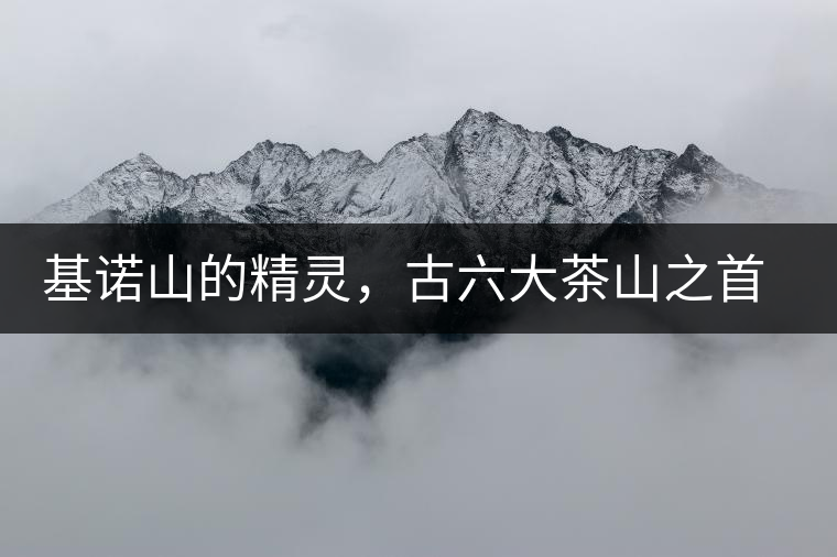 基諾山的精靈,古六大茶山之首武侯遺種攸樂古樹茶 基諾山的精靈,古六大茶山之首武侯遺種攸樂古樹茶