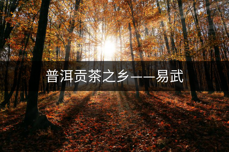 普洱貢茶之鄉——易武