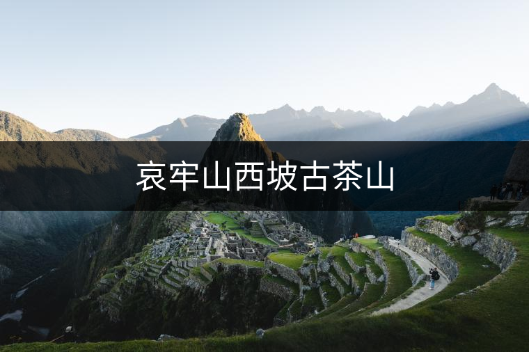 哀牢山西坡古茶山 哀牢山西坡古茶山