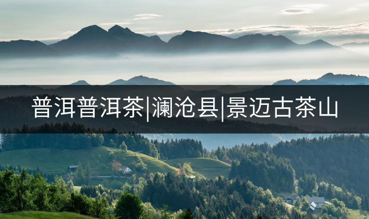 普洱普洱茶|瀾滄縣|景邁古茶山 普洱普洱茶|瀾滄縣|景邁古茶山