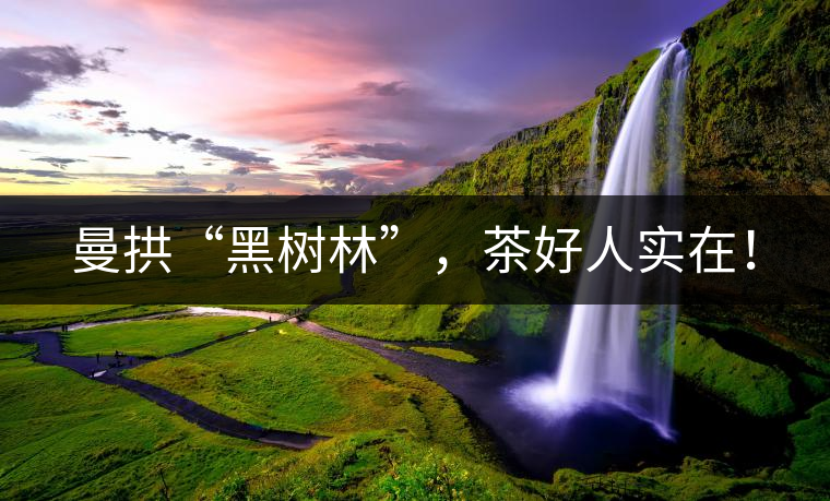 曼拱“黑樹林”,茶好人實在! 曼拱“黑樹林”,茶好人實在!