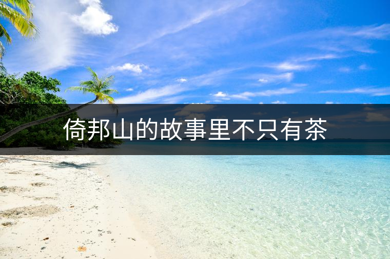倚邦山的故事里不只有茶 倚邦山的故事里不只有茶