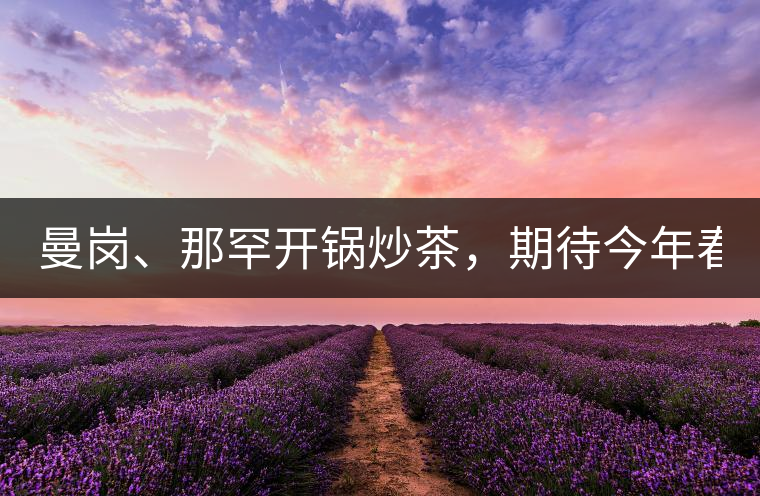 曼崗、那罕開(kāi)鍋炒茶,期待今年春茶! 曼崗、那罕開(kāi)鍋炒茶,期待今年春茶!