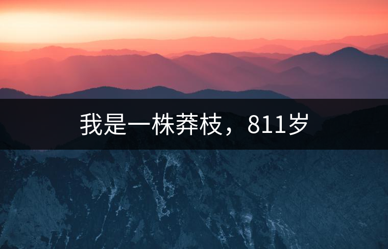 我是一株莽枝,811歲 我是一株莽枝,811歲